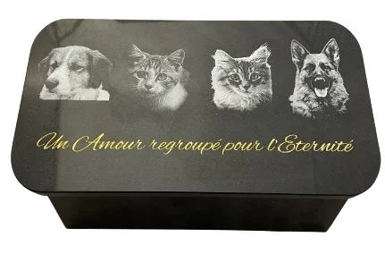 Cave urne animaux2 noir fin avec photogravures chien et chat