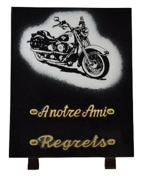 Plaque rectangulaire REC25X20.3 moto Harley dépoli blanc